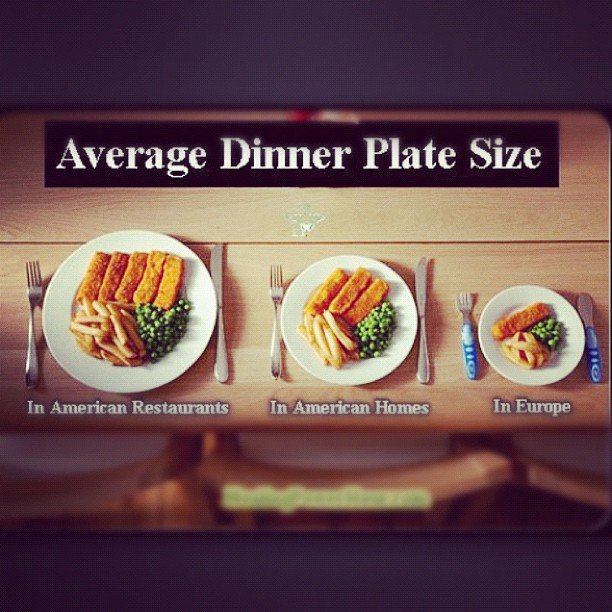 Average Dinner Plate Size amulette