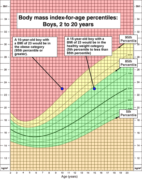 Girls BMI for Age Percentile Chart Obesity Action Coalition