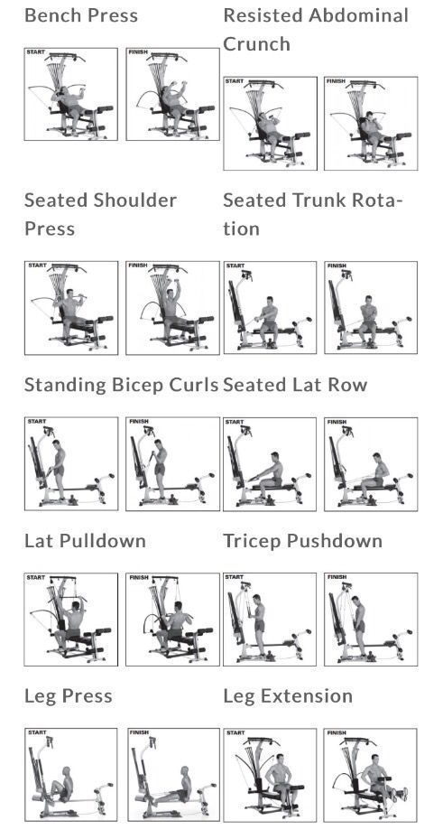 Image result for bowflex workout chart free download | Bowflex 