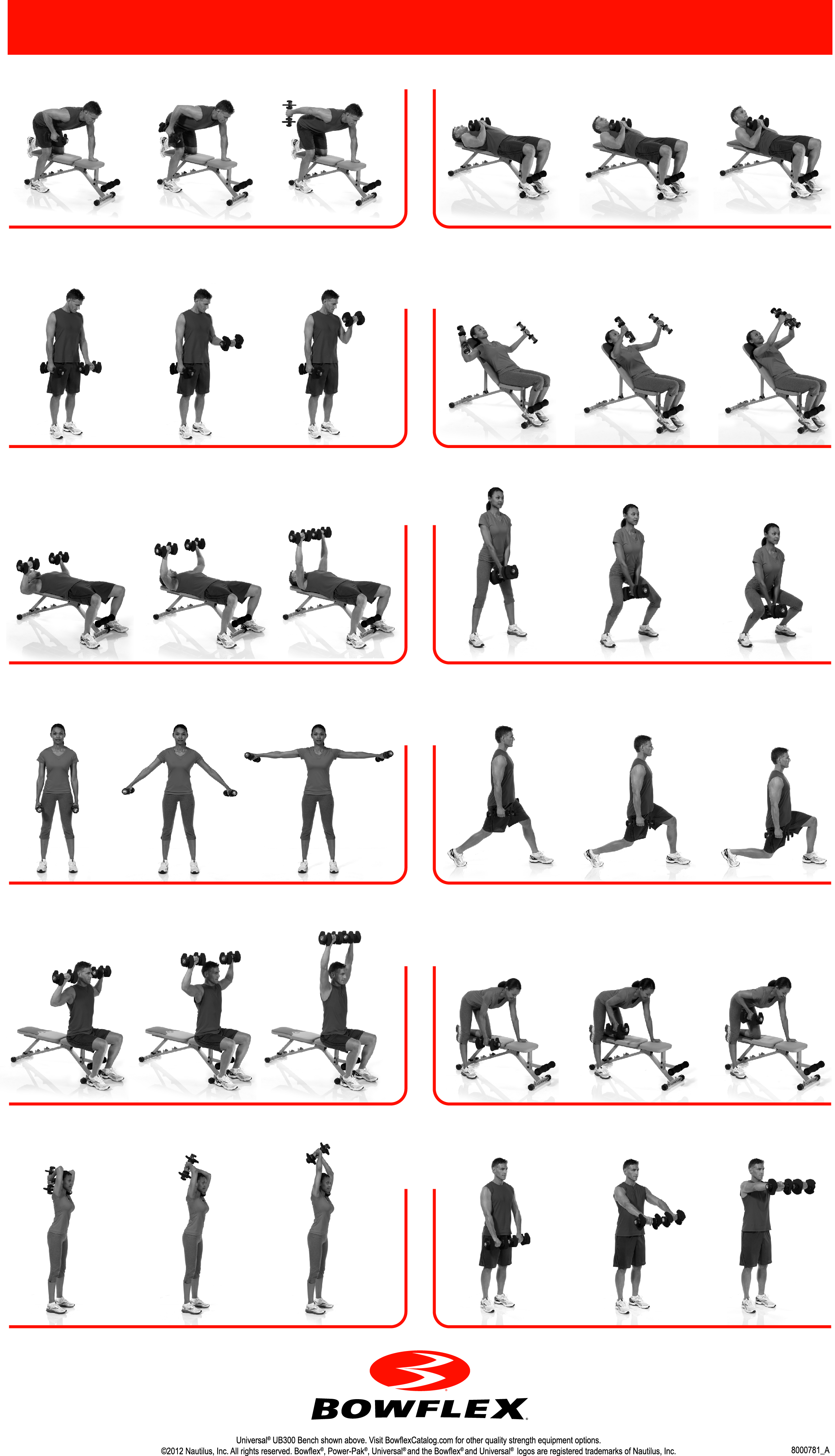 bowflex workout chart Koto.npand.co