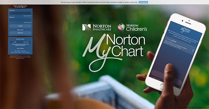 MyNortonChart password lost? Create a new one in a few steps 