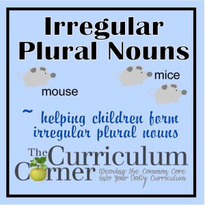 Plural Of Curriculum | amulette