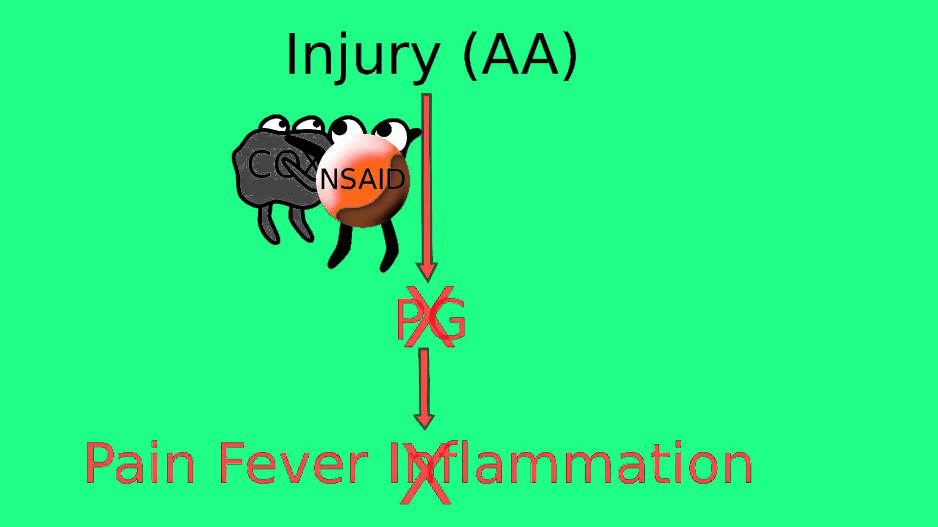 How does Advil (Ibuprofen) work? YouTube How does Advil (Ibuprofen) work? YouTube