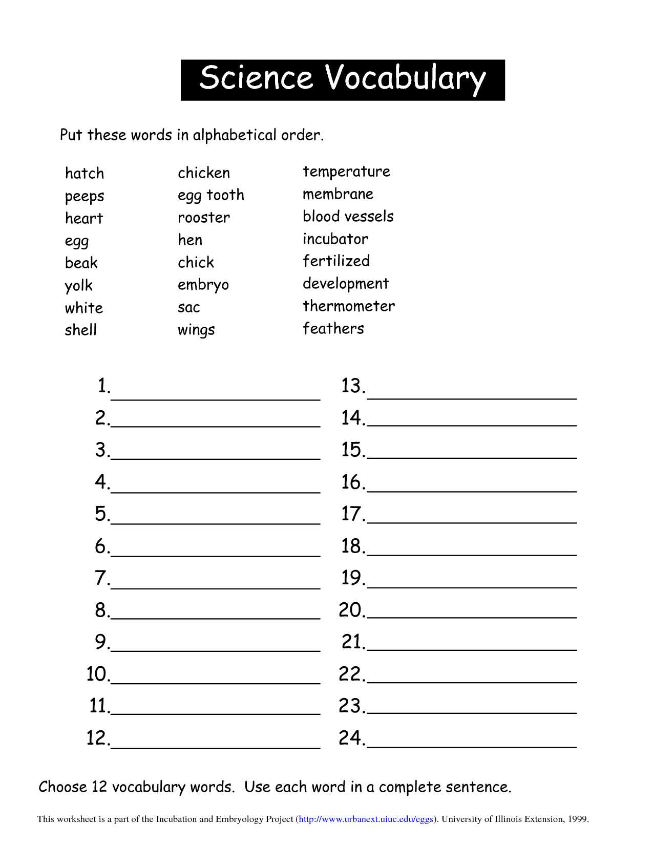 Vocabulary Worksheets | Science Vocabulary Worksheets PDF 