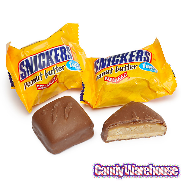 Snickers Peanut Butter Squared Fun Size Candy Bars: 20 Piece Bag 